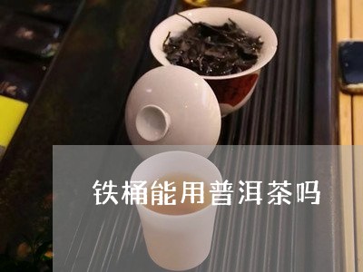 铁桶能用普洱茶吗/2023041048503