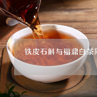 铁皮石斛与福鼎白茶同饮/2023032924957