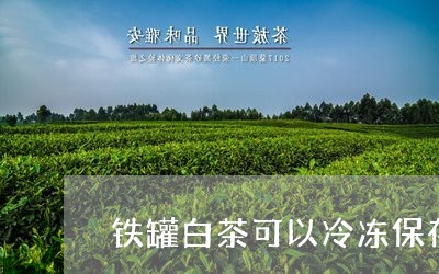 铁罐白茶可以冷冻保存吗/2023032937583