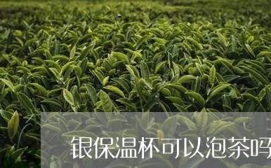 银保温杯可以泡茶吗/2023041617293