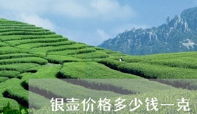 银壶价格多少钱一克/2023041692715