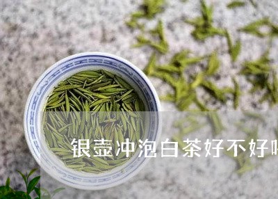 银壶冲泡白茶好不好喝呢/2023032982714