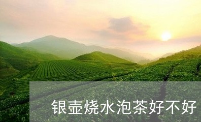 银壶烧水泡茶好不好/2023032086695