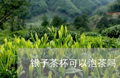 银子茶杯可以泡茶吗/2023041684847