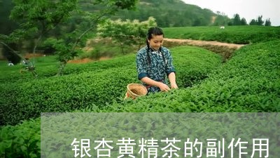 银杏黄精茶的副作用/2023041739582