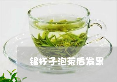 银杯子泡茶后发黑/2023032433026