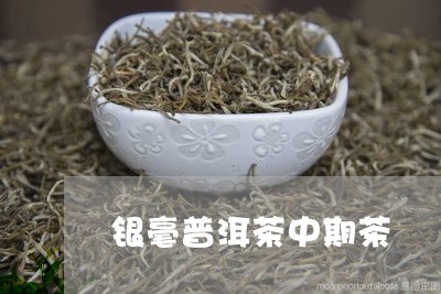 银毫普洱茶中期茶/2023041188373