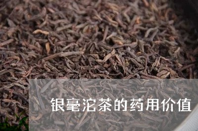 银毫沱茶的药用价值/2023041603069