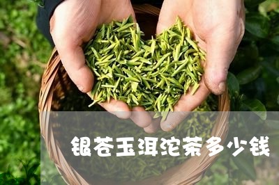 银苍玉洱沱茶多少钱/2023032103825