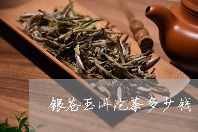 银苍玉洱沱茶多少钱/2023041646372