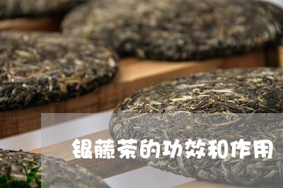 银藤茶的功效和作用/2023032117350