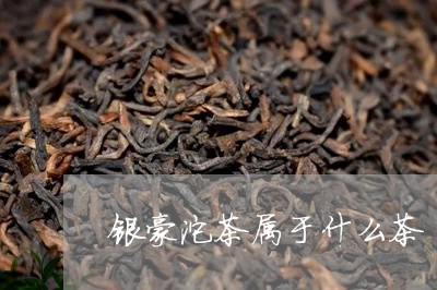 银豪沱茶属于什么茶/2023041619403