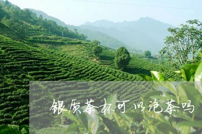 银质茶杯可以泡茶吗/2023041616159