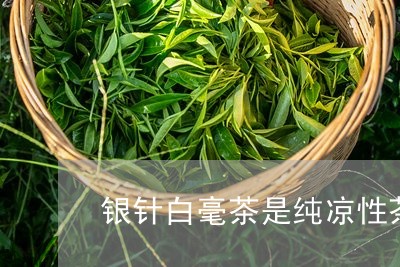 银针白毫茶是纯凉性茶吗/2023032952606