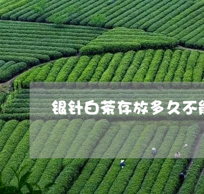 银针白茶存放多久不能喝/2023032931697