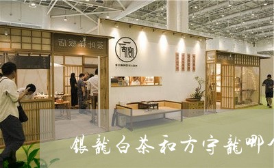 银龙白茶和方守龙哪个好/2023032974049