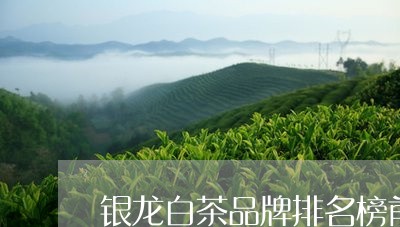 银龙白茶品牌排名榜前十/2023032942502