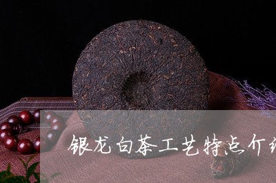 银龙白茶工艺特点介绍词/2023032963047