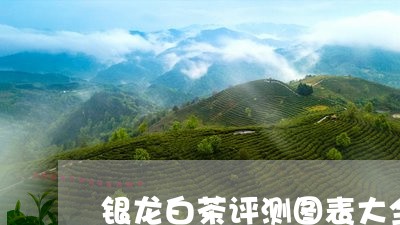 银龙白茶评测图表大全图/2023032997382