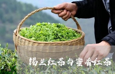 锡兰红茶与蜜香红茶/2023041513846