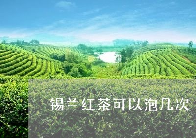 锡兰红茶可以泡几次/2023041594948