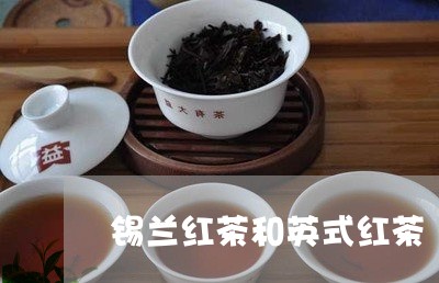 锡兰红茶和英式红茶/2023041445846