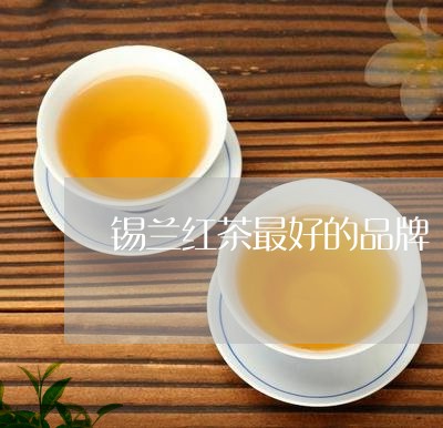 锡兰红茶最好的品牌/2023031919594