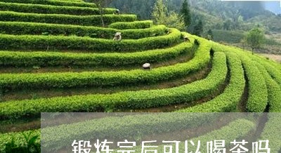 锻炼完后可以喝茶吗/2023041625036