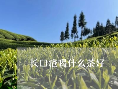 长口疮喝什么茶好/2023032343613