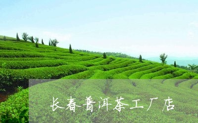 长春普洱茶工厂店/2023031663817