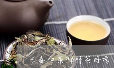 长春白茶哪种茶好喝一点/2023032994160