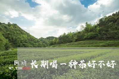 长期喝一种茶好不好/2023031956583