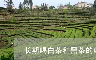 长期喝白茶和黑茶的好处/2023032978495