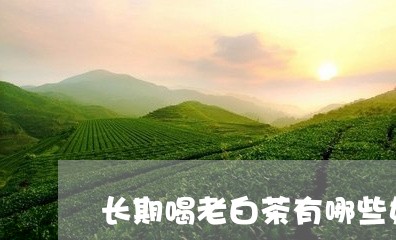 长期喝老白茶有哪些好处/2023032904929