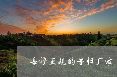 长沙正规的昔归厂家/2023041474282