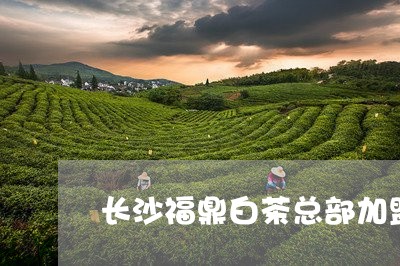 长沙福鼎白茶总部加盟店/2023032938261