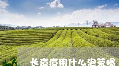 长痘痘用什么泡茶喝/2023041636058