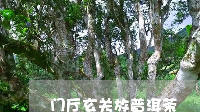 门厅玄关放普洱茶/2023041367492