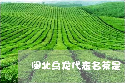 闽北乌龙代表名茶是/2023041624038