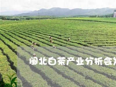 闽北白茶产业分析会发言/2023032970715