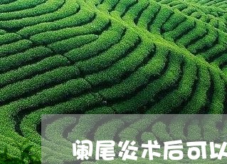 阑尾炎术后可以喝白茶吗/2023032962927