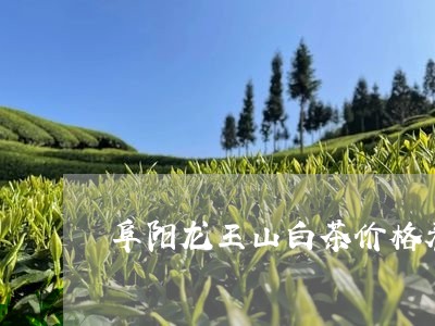 阜阳龙王山白茶价格表图/2023032938503