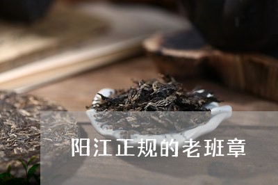 阳江正规的老班章/2023032895070