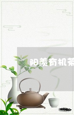 阳羡有机茶特级红茶/2023031908379