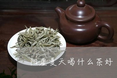 阳虚夏天喝什么茶好/2023041555170