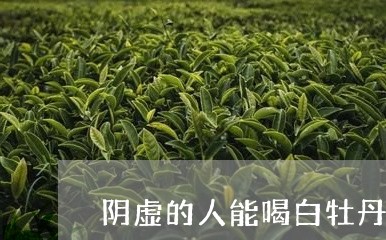 阴虚的人能喝白牡丹茶吗/2023032971726