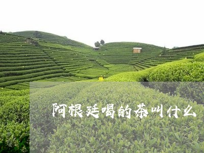 阿根廷喝的茶叫什么/2023041494047