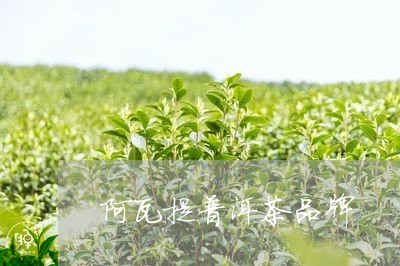 阿瓦提普洱茶品牌/2023041033918