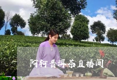 阿轲普洱茶直播间/2023031892935