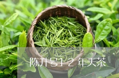 陈升号12年天茶/2023032468250